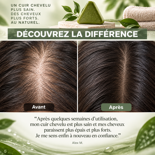 Shampoing 100% Naturel Mayori